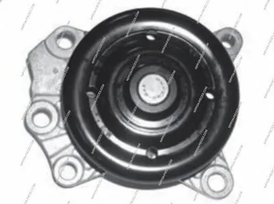 Водяной насос NPS купить