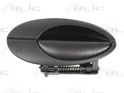 Ручка двери BLIC купить