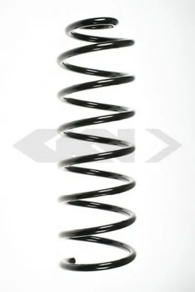 винтовая пружина SPIDAN купить