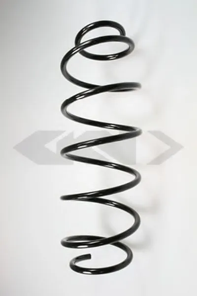 винтовая пружина SPIDAN купить