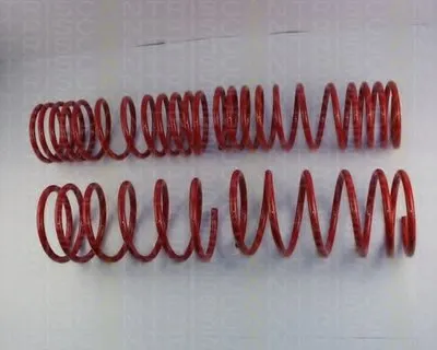 Комплект ходовой части, пружины TRISCAN купить