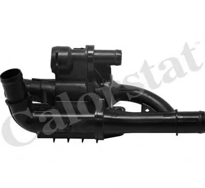 Термостат, охлаждающая жидкость CALORSTAT by Vernet купить