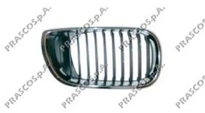 Решетка радиатора Premium PRASCO купить