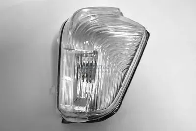 Корпус, фонарь указателя поворота TRUCKTEC AUTOMOTIVE купить