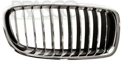 Решетка радиатора Premium PRASCO купить