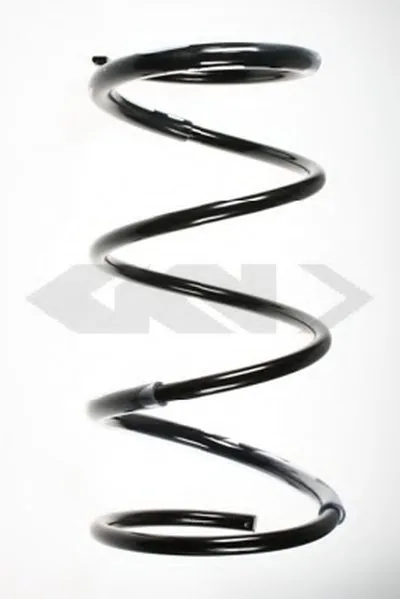 винтовая пружина SPIDAN купить