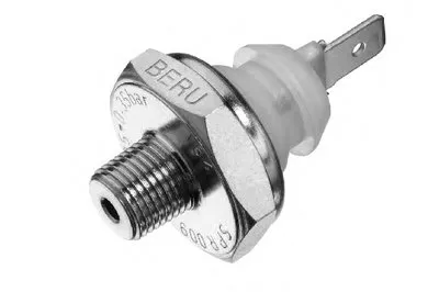 Выключатель с гидропроводом BERU купить