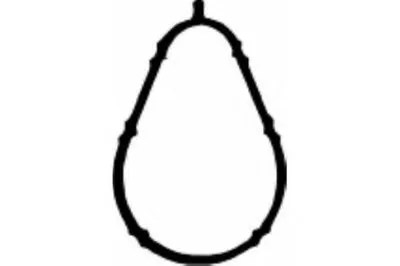 Прокладка, впускной коллектор PAYEN купить