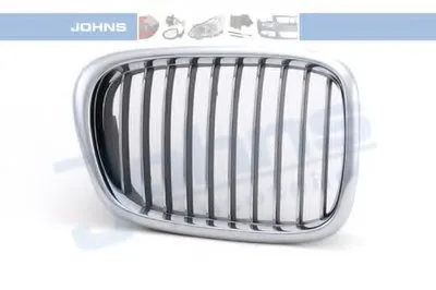 Решетка радиатора JOHNS купить