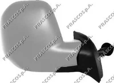 Наружное зеркало PRASCO купить