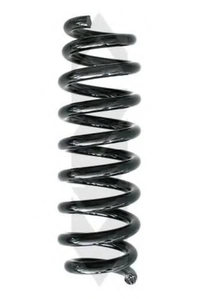 винтовая пружина SPIDAN купить