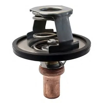 Термостат, охлаждающая жидкость FISPA купить