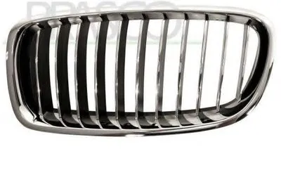 Решетка радиатора Premium PRASCO купить