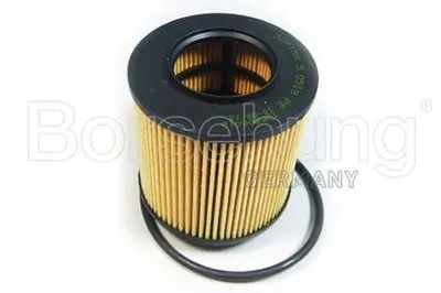 Масляный фильтр Borsehung купить