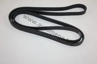 V-Ribbed Belts AutoMega Premium AUTOMEGA купить