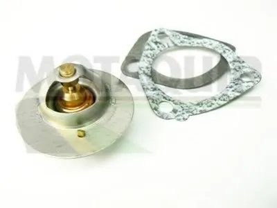 Термостат, охлаждающая жидкость MOTAQUIP купить