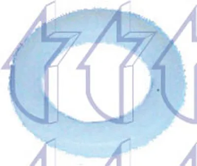 Уплотнительное кольцо, резьбовая пр TRICLO купить