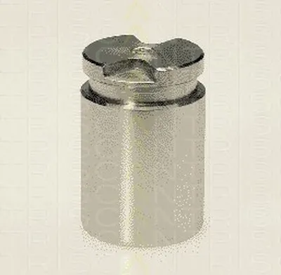 Поршень, корпус скобы тормоза TRISCAN купить