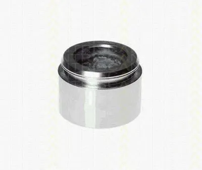 Поршень, корпус скобы тормоза TRISCAN купить