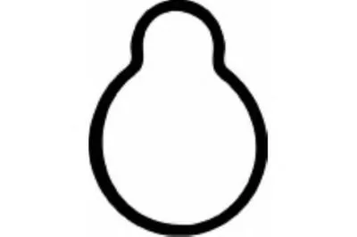 Прокладка, впускной коллектор PAYEN купить