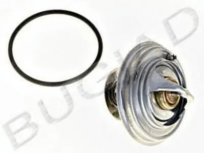 Термостат, охлаждающая жидкость BUGIAD купить