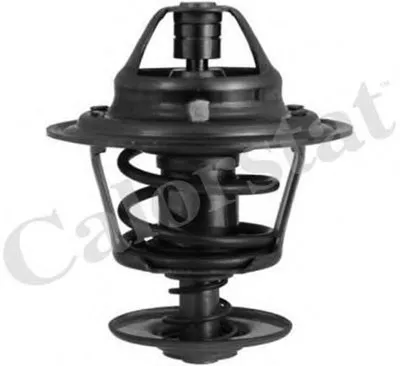 Термостат, охлаждающая жидкость CALORSTAT by Vernet купить