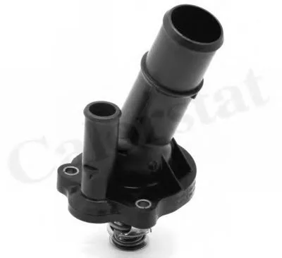 Термостат, охлаждающая жидкость CALORSTAT by Vernet купить