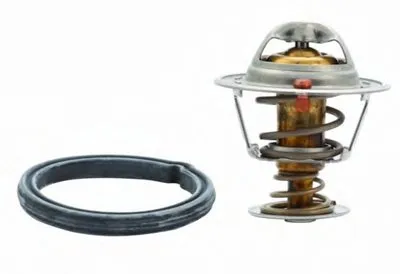 Термостат, охлаждающая жидкость HOFFER купить