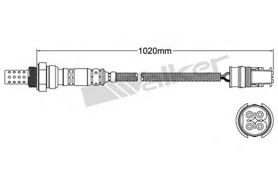 Лямда-зонд WALKER PRODUCTS купить