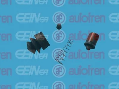 Ремкомплект, рабочий цилиндр AUTOFREN SEINSA купить