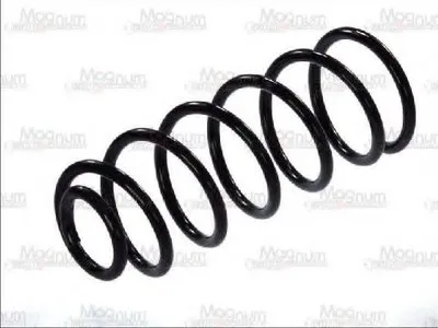 винтовая пружина Magnum Technology купить