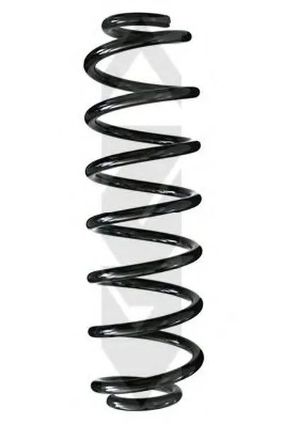 винтовая пружина SPIDAN купить