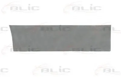 Дверь, кузов BLIC купить