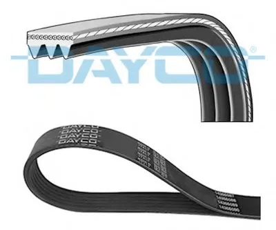 V-Ribbed Belts DAYCO купить