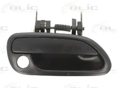 Ручка двери BLIC купить