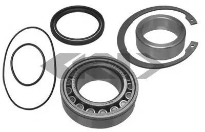 Комплект подшипника ступицы колеса SPIDAN купить