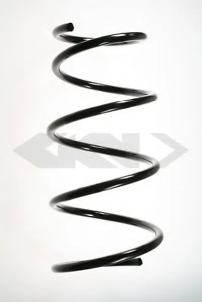 винтовая пружина SPIDAN купить