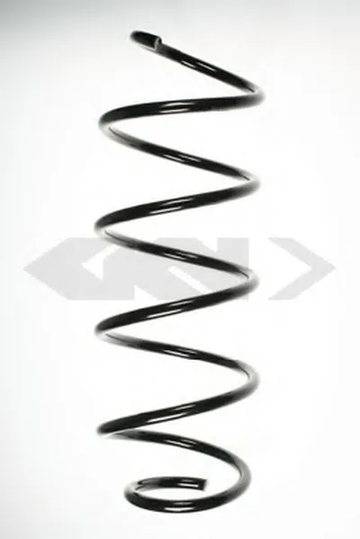 винтовая пружина SPIDAN купить