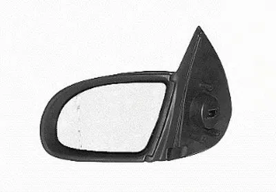 Наружное зеркало VAN WEZEL купить