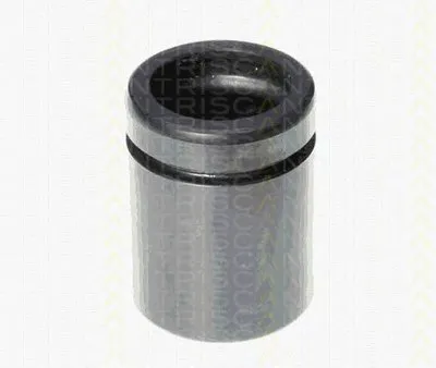 Поршень, корпус скобы тормоза TRISCAN купить