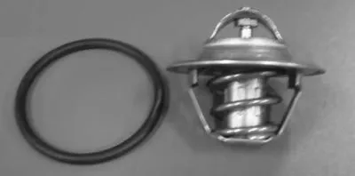 Термостат, охлаждающая жидкость BUGIAD купить