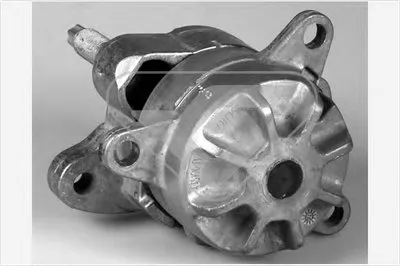 Натяжной ролик, поликлиновой  ремень HUTCHINSON купить