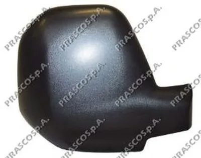 Покрытие, внешнее зеркало PRASCO купить