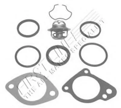 Термостат, охлаждающая жидкость FIRST LINE купить