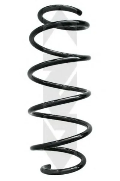 винтовая пружина SPIDAN купить