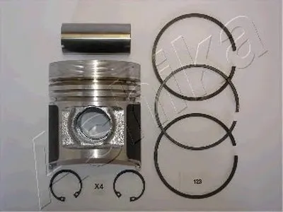 Поршень ASHIKA купить