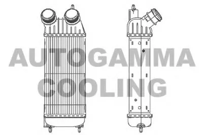 Интеркулер AUTOGAMMA купить