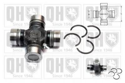 Осевая шестерня, уравнив. конич. зубч. колесо - дифференциал QUINTON HAZELL купить