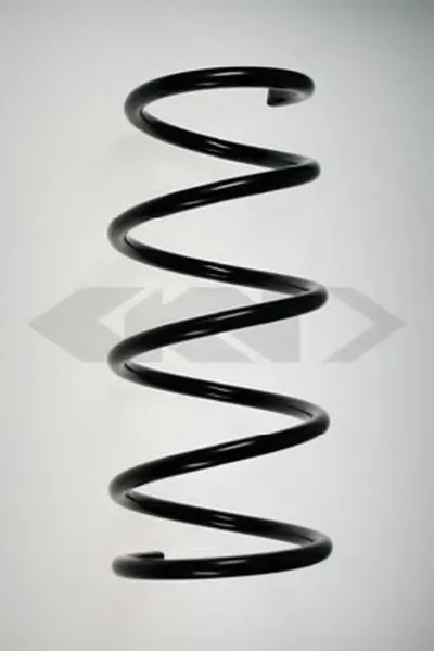 винтовая пружина SPIDAN купить
