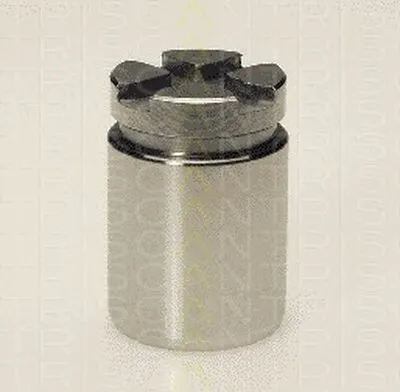 Поршень, корпус скобы тормоза TRISCAN купить